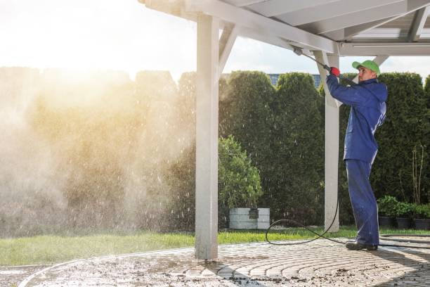 Best Soft Washing  in Maywood, NJ